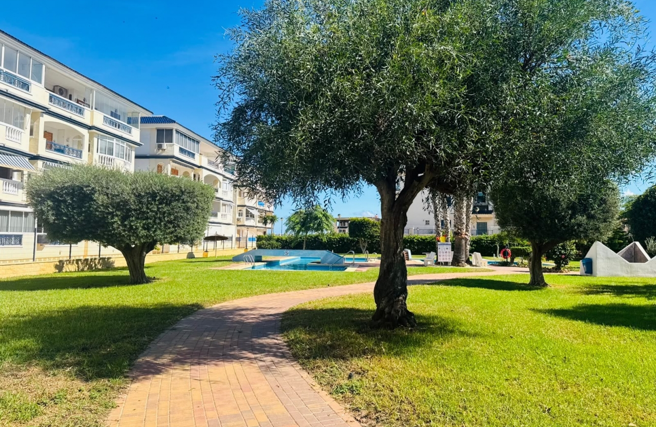 Rynek Wtórny - Bungalow - Torrevieja - LA MATA