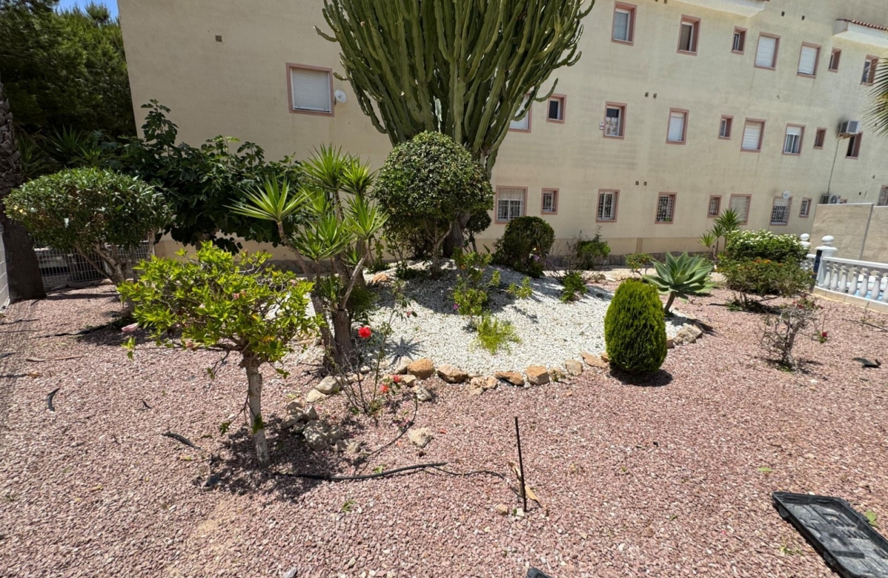Rynek Wtórny - Bungalow - Torrevieja - La Siesta - El Salado -  Torreta