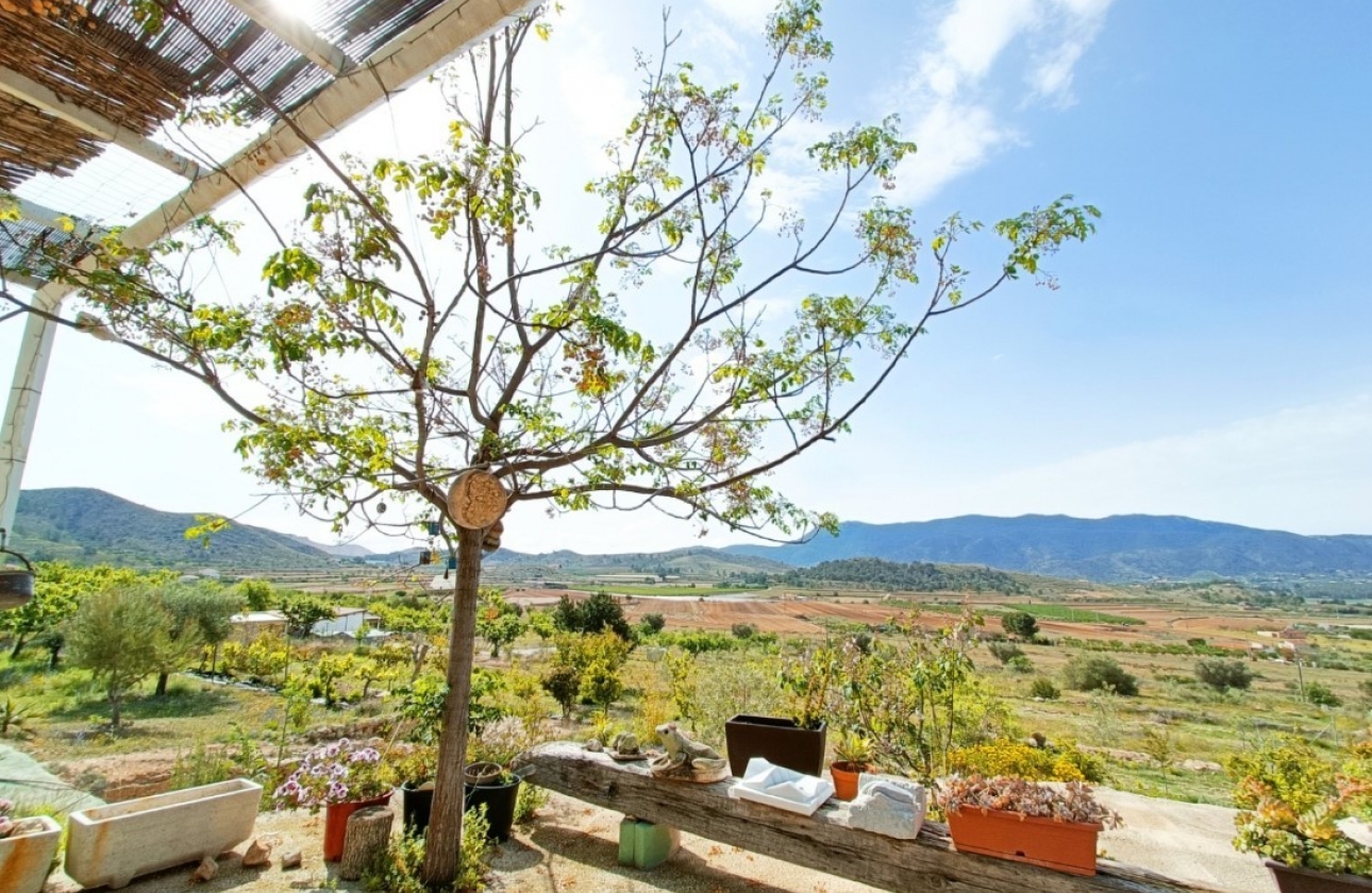 Rynek Wtórny - Wiejski dom - Hondón de las Nieves - Vinalopó Medio