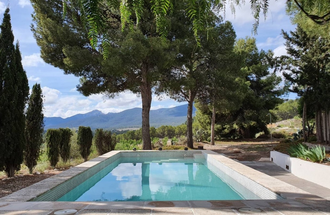 Rynek Wtórny - Willa - Castalla