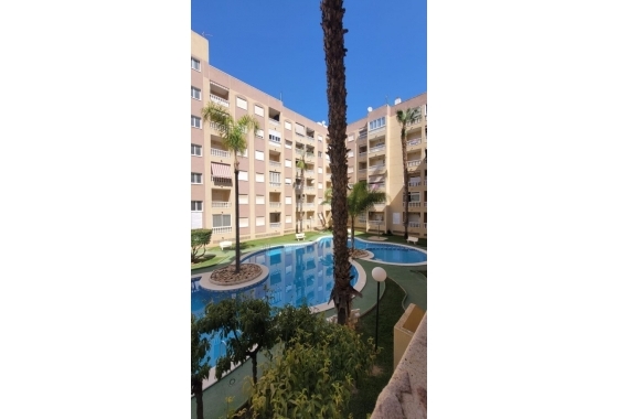 Studio - Resale - Torrevieja - Torrevieja