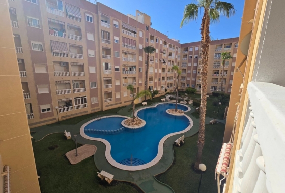 Studio - Rynek Wtórny - Torrevieja - Parque de Las Naciones