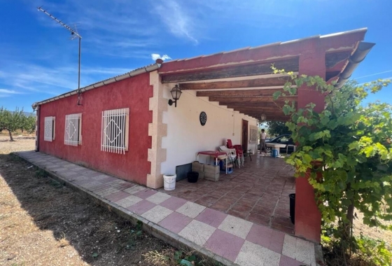 Villa - Reventa - Castalla - DOM -7021