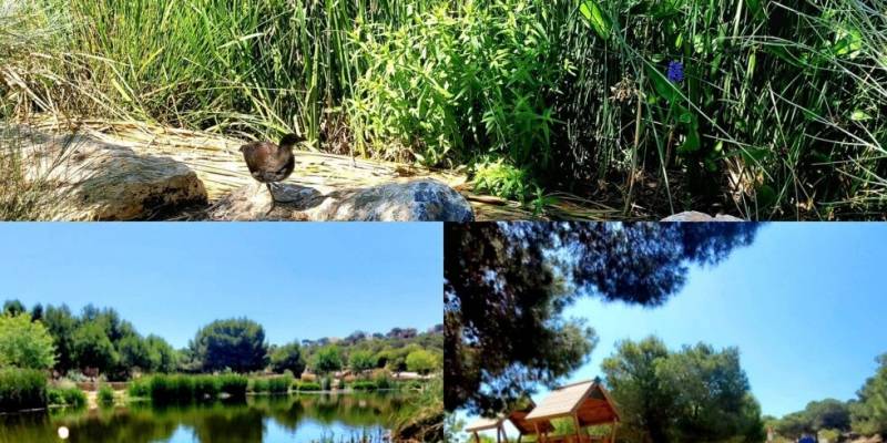 Picnic en el Parque El Recorral