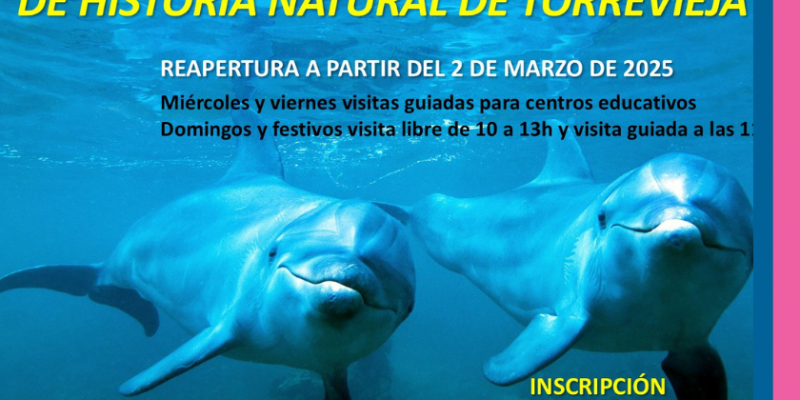 Bezpłatne wycieczki z przewodnikiem po Muzeum Historii Naturalnej w Torrevieja