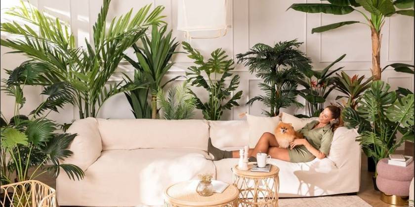 Zielony sposób na wilgoć w mieszkaniu 