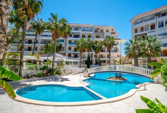 Rynek Wtórny - Apartament - Torrevieja - Torre la mata