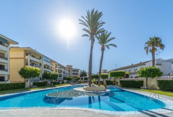 Reventa - Bungalow - Torrevieja - Torre la mata