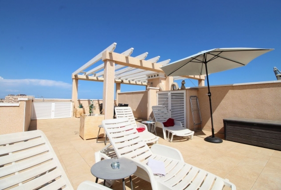 Rynek Wtórny - Bungalow - Torrevieja - Punta prima