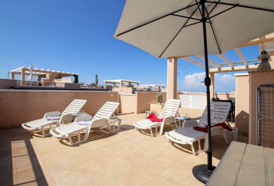 Rynek Wtórny - Bungalow - Torrevieja - Punta prima