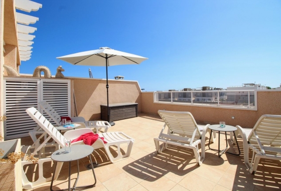 Reventa - Bungalow - Torrevieja - Punta prima