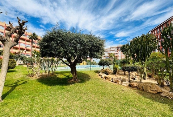 Rynek Wtórny - Apartament - Torrevieja - Torrelamata - La Mata