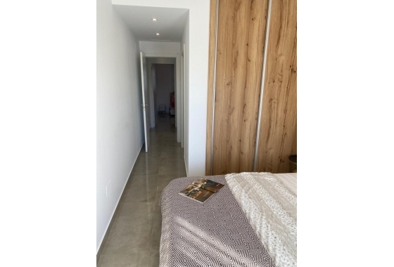 Obra nueva - Apartamento / piso - Pilar de la Horadada