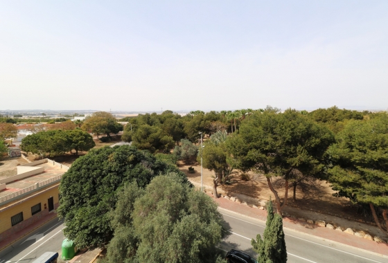 Resale - Apartment / flat - Torrevieja - Playa del Acequión