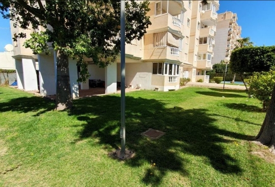 Resale - Apartment / flat - Torrevieja - Nueva Torrevieja - Aguas Nuevas