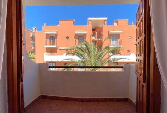 Resale - Duplex - Torrevieja - Torre la mata