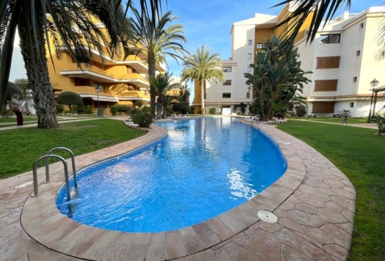 Rynek Wtórny - Apartament - Torrevieja - Punta prima