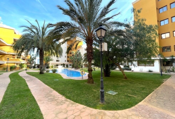 Rynek Wtórny - Apartament - Torrevieja - Punta prima