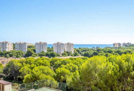 Resale - Apartment / flat - Orihuela Costa - Dehesa de campoamor