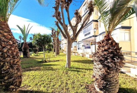 Resale - Apartment / flat - Torrevieja - LA MATA