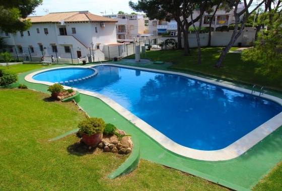 Rynek Wtórny - Bungalow - Torrevieja