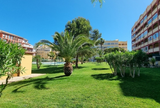 Rynek Wtórny - Apartament - Torrevieja - Torre la mata