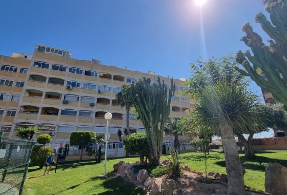 Reventa - Apartamento / piso - Torrevieja - Torre la mata