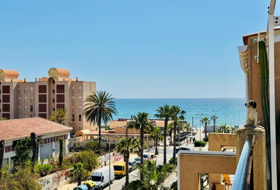 Rynek Wtórny - Apartament - Torrevieja - LA MATA