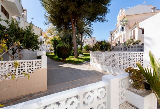 Rynek Wtórny - Apartament - Torrevieja - Centro Salud La Loma