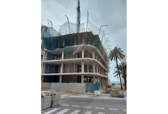 New Build - Penthouse - Torrevieja - Torrevieja - Playa de los Locos