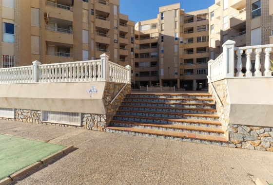 Resale - Apartment / flat - Torrevieja - Playa de los Locos