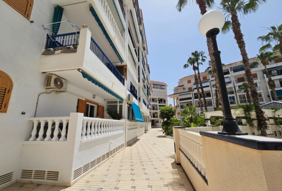 Resale - Apartment / flat - La Mata