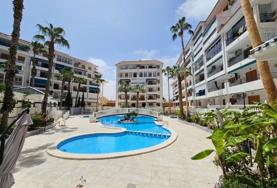 Resale - Apartment / flat - La Mata