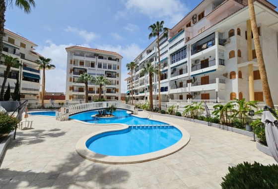 Resale - Apartment / flat - La Mata