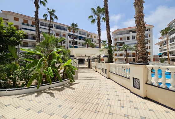 Resale - Apartment / flat - La Mata