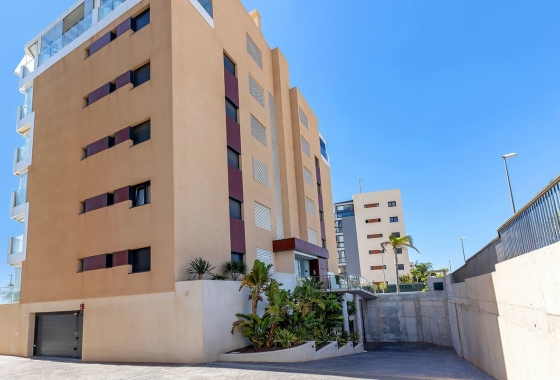 Reventa - Apartamento / piso - Pilar de la Horadada