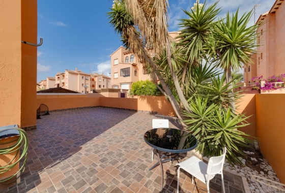 Rynek Wtórny - Bungalow - Torrevieja - Nueva Torrevieja - Aguas Nuevas