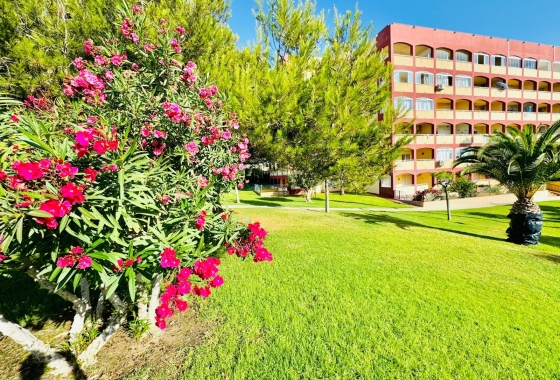 Rynek Wtórny - Apartament - Torrevieja - Torreblanca