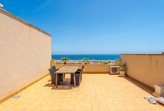 Rynek Wtórny - Apartament - Orihuela Costa - Cabo roig - La Zenia