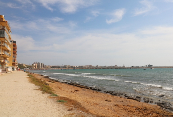 Rynek Wtórny - Apartament - Torrevieja - El Acequión - Los Náufragos