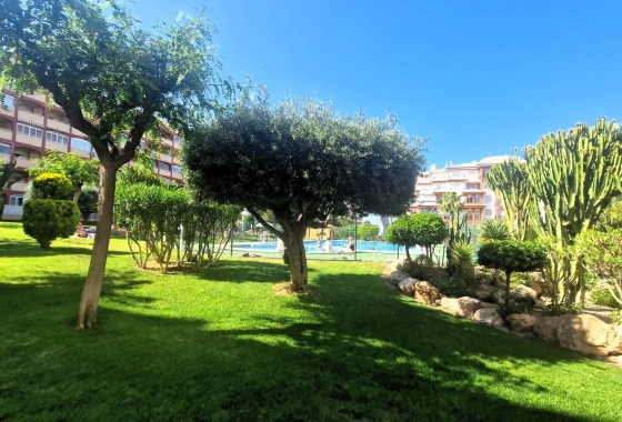 Rynek Wtórny - Apartament - Torrevieja - Torreblanca