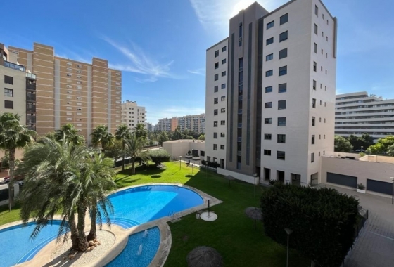 Rynek Wtórny - Apartament - San Juan de Alicante