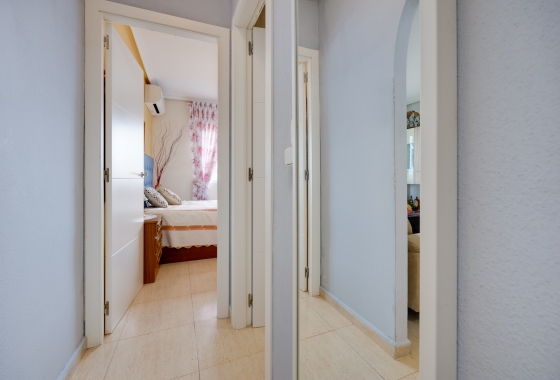 Rynek Wtórny - Apartament - Torrevieja - Torrevieja - Playa de los Locos