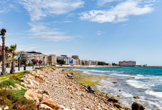 Resale - Apartment / flat - Torrevieja - Torrevieja - Playa de los Locos