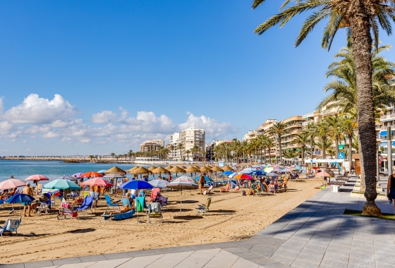 Resale - Apartment / flat - Torrevieja - Torrevieja - Playa de los Locos