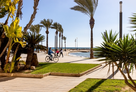 Resale - Apartment / flat - Torrevieja - Torrevieja - Playa de los Locos