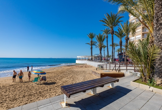 Resale - Apartment / flat - Torrevieja - Torrevieja - Playa de los Locos