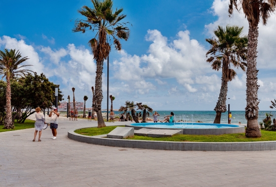 Rynek Wtórny - Apartament - Torrevieja - Torrevieja - Playa de los Locos