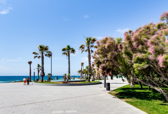 Rynek Wtórny - Apartament - Torrevieja - Torrevieja - Playa de los Locos