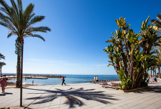 Rynek Wtórny - Apartament - Torrevieja - Torrevieja - Playa de los Locos